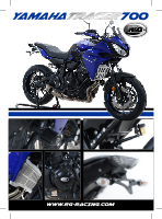 images/dtp/pdf/TriumphTiger800