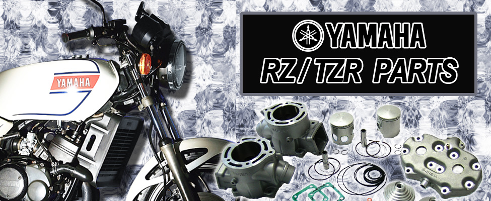 YAMAHA RZ/TZR パーツ