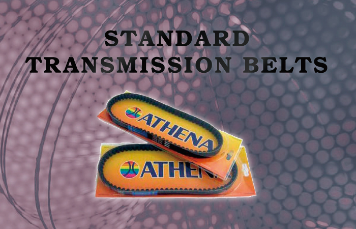 STANDARD TRASMISSION BELTS