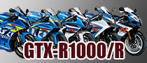 SUZUKI GSX-R1000/R(17-)