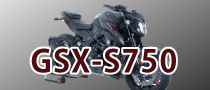 SUZUKI GSX-S750