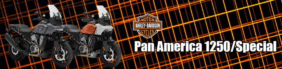 Pan America1250/Special