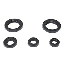 Engine OilSeal Kit