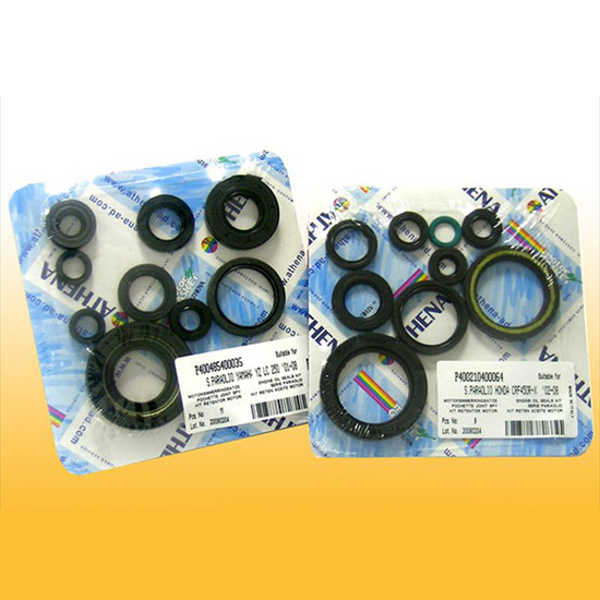 Engine OilSeal Kit