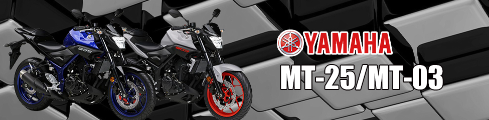 YAMAHA MT-25/03