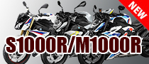 BMW S1000R